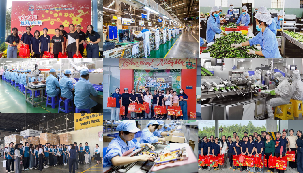GIẢI PHÁP CHO THUÊ LAO ĐỘNG & QUẢN TRỊ NHÂN SỰ TOÀN DIỆN – TỐI ƯU 30% CHI PHÍ VẬN HÀNH